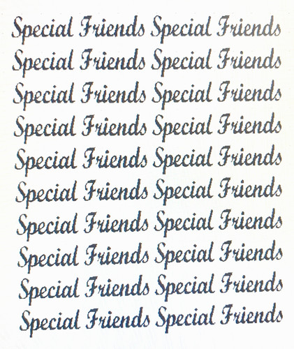 Special friends words vinyl - friends,